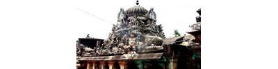 100. திருத்துருத்தி